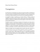 Transgénicos opinión