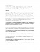 LA REGIÓN AMAZÓNICA