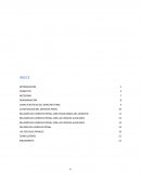 El derecho penal monografia