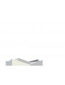 FORMAS DE MOVIMIENTO A TRAVÉS DE LOS PERIODOS EVOLUTIVOS