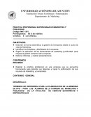 PRÁCTICA PROFESIONAL SUPERVISADA DE MARKETING Y PUBLICIDAD