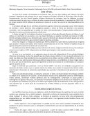 Los virus: la viruela y el sarampión