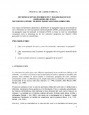 Trabajo laboratorio ciencias del suelo