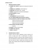 Analisis de puesto CENTRO MAR S.A