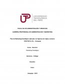 Plan de Marketing Estratégico aplicado a la Agencia de viajes y turismo CEVITUR E.I.R.L - Arequipa