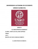 EL NARCOTRAFICO EN MEXICO es uno de los problemas principales en nuestro país