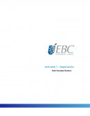 Actividad Características de la negociación