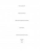 Trabajo del libro el fugitivo de Terence Blacker