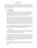 Análisis The Jonases