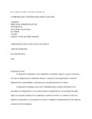 PROCESOS ADMINISTRATIVOS - P L A N E A C I O N E S T R A T E G I C A
