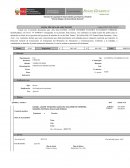 Ejemplo ficha de campo