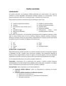 Ensayo Aceites esenciales. Estructura y clasificación