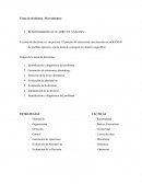 Herramientas para toma de decisiones