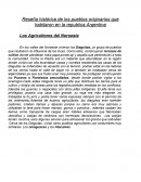Reseña histórica de los pueblos originarios que habitaron en la republica Argentina