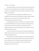 EJEMPLO ARTICULO AFTER OFFICE