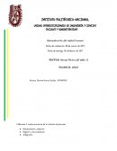 Administración del capital humano. Caso Práctico
