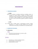 Plan de Negocio RadioShack