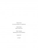 Los recursos informáticos en la organización