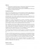 Enlaces Químicos Practica