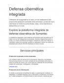 Defensa cibernética integrada