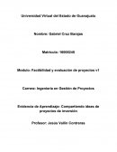 Compartiendo ideas de proyectos de inversión