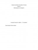 Metodología de la investigación “SI NACISTE MUJER Y BONITA... TE CHINGAS “