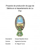 Proyecto de producción de jugo de Sábila en el departamento de La Paz