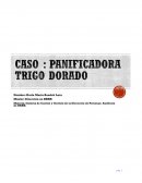 PARTE I. AUDITAR LA EMPRESA SIGUIENDO EL MODELO COP/IE93