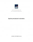 Aporte previsional voluntario