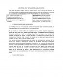CONTROL DEL REFLEJO DEL MOVIMIENTO