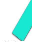 Juicio Ético y Juicio Moral