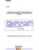 CONVOCATORIA DE SUBVENCIONES EN MATERIA DE COOPERACIÓN AL DESARROLLO CORRESPONDIENTE AL AÑO 2010