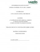 TEMA DEL PROYECTO: INVESTIGACIÓN SOBRE LICORES