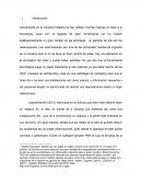 Industria Hotelera e mejoras en base a la tecnología