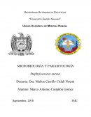 MICROBIOLOGÍA Y PARASITOLOGÍA