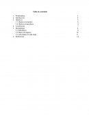 Afectación de la biodiversidad del corregimiento la Fortuna en Barrancabermeja a causa del afloramiento de hidrocarburos en la quebrada Lizama