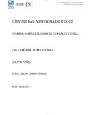 UNIDAD 3 ENFERMERIA COMUNITARIA