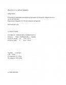 PRACTICA N° 4: MOTOR TERMICO