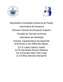 Practica: Características del desarrollo embrionario y sus diferentes etapas.