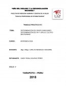 DETERMINACIÓN DE GRUPO SANGUINEO, DETERMINACIÓN DE VIH Y SIFILIS, CULTIVO BACTERIANO