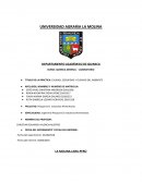 TITULO DE LA PRÁCTICA: CALIDAD, SEGURIDAD Y CUIDADO DEL AMBIENTE