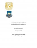 Proyecto De Investigación: Consumo de droga