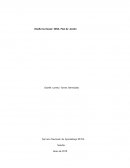 Diseño Curricular SENA Plan de Acción