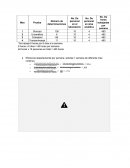 Automatizacion reporte