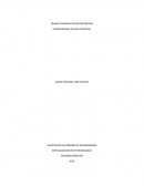 TRABAJO PRIMERA VIDEOCONFERENCIA EPIDEMIOLOGIA EN SALUD MENTAL