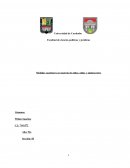 MEDIDAS CAUTELARES EN MATERIA DE NIÑOS, NIÑAS I ADOLESCENTES