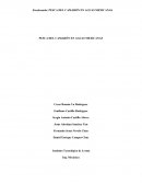 PESCA DEL CAMARÓN EN AGUAS MEXICANAS