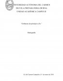 Embarazo de inicio a fin