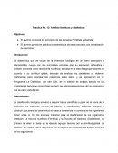 Practica No. 13: Análisis fenéticos y cladísticos