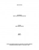 INGENIERIA AMBIENTAL BALANCE MASICO Y ENERGETICO CON PROBABILIDADES AMBIENTALES